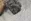 thumbnail-8