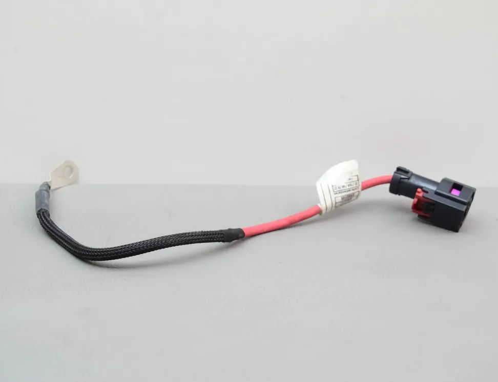 BMW 1 Series F40 (2019-2024) Cable positivo de la batería 8589051,9296981 25084199