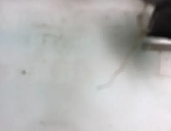 VOLKSWAGEN Golf 6 generation (2008-2015) Tanque de lavado de ventanas 1K0955453S 34992062