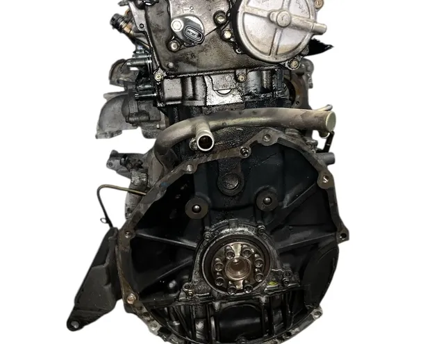 NISSAN Primera P12 (2001-2008) Motor YD22 33606190
