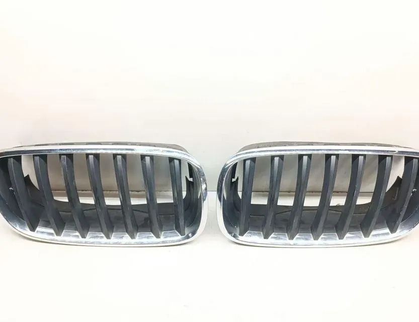 BMW X5 E70 (2006-2013) Parrilla superior delantera 7171396 33671208