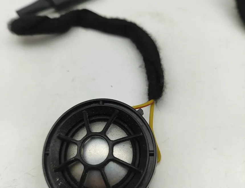 BMW M6 F06/F12/F13 (2012-2018) Altavoz de sonido de la puerta trasera izquierda 9226357 31723117