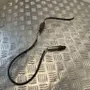 VOLKSWAGEN Passat B5 (1996-2005) Lambda Oxygen Sensor 0258986507 31272091