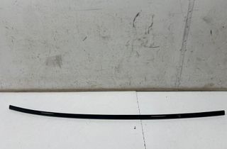 PORSCHE Taycan 1 generation (2019-2023) Left Side Roof Strip Trim 9J1851526 32992446