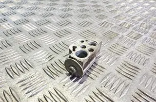 VOLKSWAGEN Fox 2 generation (2003-2009) Válvula de expansión del aire acondicionado 52268990 34988658