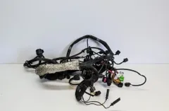 AUDI A8 D3/4E (2002-2010) Engine Cable Harness 4E2971713CG 2898155