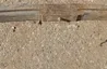 DAF CF 85 (2001-2013) Rear Right Leaf Spring 1377375 29015760