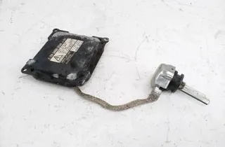 LEXUS RX 3 generation (2009-2015) Xenon Light Control Unit 859670E010 34989033