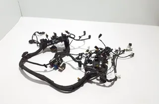 PORSCHE Macan 1 generation (2013-2023) Engine Cable Harness 95B971072EC 28257057