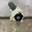 AUDI A5 Sportback 8T (2009-2011) Motor del elevalunas de la puerta delantera izquierda 8K0959802 33407121