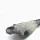 BMW X5 E70 (2006-2013) Engine Bracket Right Side 6772679 33684611